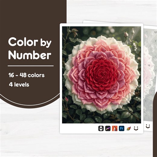 Beautiful Flower Close-up - Color by Number - Digital & Printable - 4 Levels - Etsy