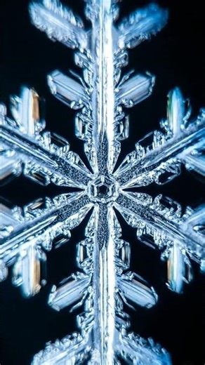 Every Snowflake Looks Like This Under A Microscope! ❄️ #snowflake #shorts