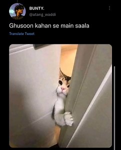 In case you are having a bad day today.😂😂😂 via muhammad ali abid. | Assad Tweets