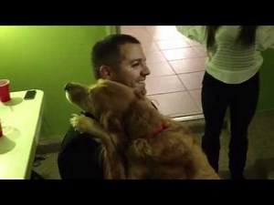 Cute dog gives a hug