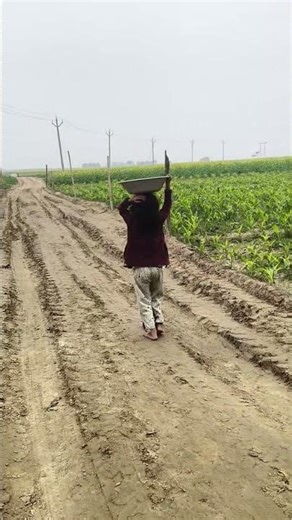 dekho bhai kitna chhota hai #shortvideo