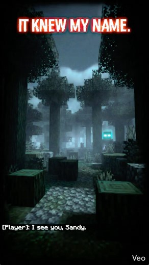 Minecraft File #04 – It Knew My Real Name 😨