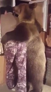 57K views · 423 reactions | Bear hugs are the best ❤️ | Leather And Lace | Facebook