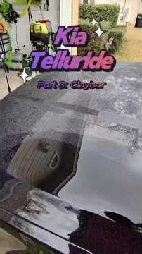 Overspray Edition Kia Telluride | Auto Detailing Near Me | Buda TX