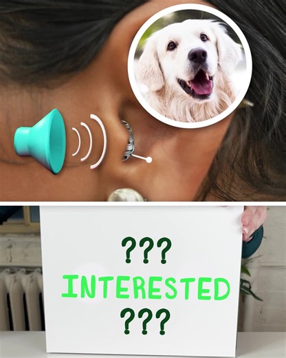 WANTED: 500 PEOPLE to try this REVOLUTIONARY hearing aid RISK-FREE!  ✅ FREE Hearing Evaluation ✅ True-to-life hearing experience ✅ Filters speech from background noise Interested? Answer a few short questions to see if you qualify to try this revolutionary hearing aid RISK-FREE. Tap the button below ⬇️ | AudioNova | Facebook