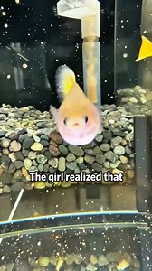 🎣 EXPLODING FISH MOM!🙏😭🆘 VET’S EMERGENCY SCISSOR RESCUE 🥹❤️‍🩹#animals #rescue #fish #sad #lovestory #foryoupage | Animals Behavior