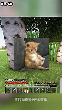 very late #minecraft #survival #clips