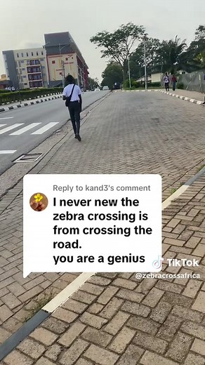 Understanding Zebra Crossings and Pedestrian Safety