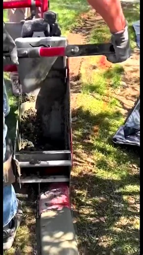 #35 Why This Concrete Curb is a Brilliant Landscape Design #concrete #build #reels #fyp #reels #fyp | The Feed Loop | Facebook