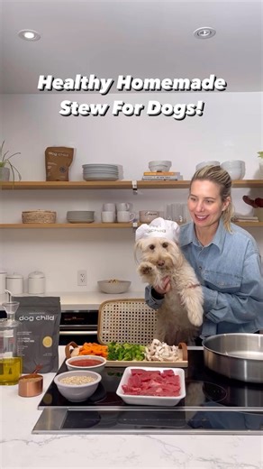 Homemade dog food really can be this easy! Find the full recipe linked in our bio👩‍🍳🐶 #stew #stewrecipe #stewfordogs #beefstew #veggiestew #easy #easyrecipe#dogtreats #homemadedogtreat #homemadedogfood #cookingformydog #cookformydog #athomecooking #protein #healthypup #nutritionalmeal #dogmom #dogdad #recipesfordogs | Dog Child
