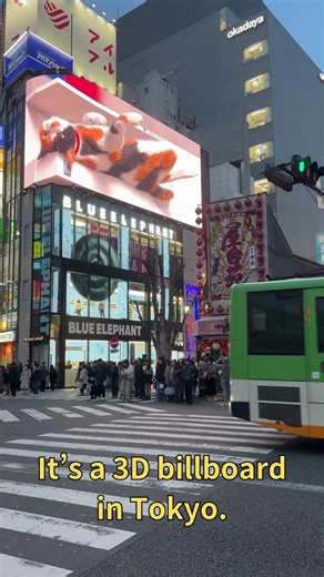 This giant 3D cat in Tokyo looks real at night 🐱 #shorts #japan #tokyo #3dcats