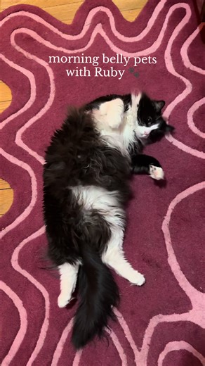every morning, we pour a cold brew & see a flop on the rug & there’s a ruby ready for a belly pets 🥹🐾🖤 #tuxedocat #kitty #blackcatsoftiktok #catmom #coldbrew