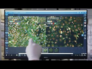 Review a completed experiment on the ImageXpress Pico