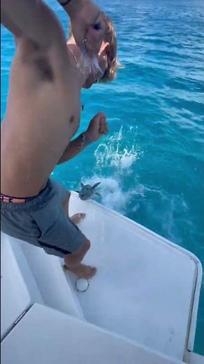 Handling a giant Barracuda￼￼