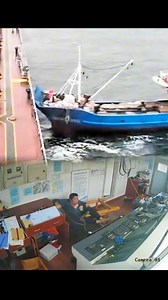 2M views · 9.8K reactions | Chu bát heo đã nhập #reelsvideoシ #reelsfypシ #funnyvideosdaily #funnyreels #funnyvideos #sea #StarsEverywhere #ship #marinelife | Ship9 | Facebook