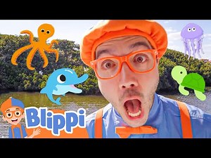 Explore Sea Animals on a BOAT ADVENTURE! | Fun Learning Blippi | Educational Videos For Kids