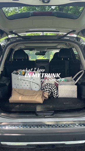 Essential Items for Moms in the Car Trunk