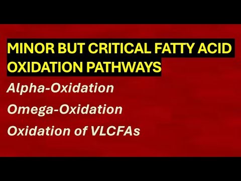 Alpha, Omega & VLCFA Oxidation – The Forgotten But High-Yield Fat Pathways!
