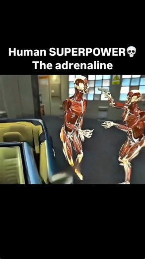 Adrenaline — also called epinephrine — is a hormone and neurotransmitter your body releases in response to stress, excitement, or danger. It’s part of the “fight-or-flight” response. Here’s what happens when adrenaline kicks in: • Heart rate increases – pumps more blood to muscles. • Pupils dilate – better vision. • Airways open up – more oxygen intake. • Blood sugar rises – more energy for muscles. • Pain perception drops – so you can push through. Basically, adrenaline turns your body into a h