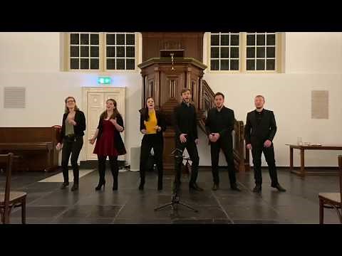 Vocoder Ensemble - Human - Rag'n'Bone Man - Arr. Oliver Gies