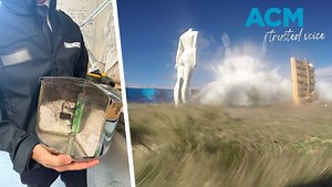 The AFP's bomb-building Weapons Technical Intelligence team