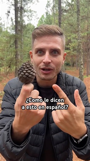 Does anyone know what this is called in Spanish? 👀