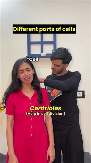 Different parts of cells and it’s functions