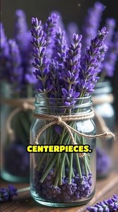Eco-Friendly Lavender Wedding Décor Ideas