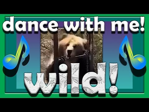 Dancing Bear -Wild Dancing