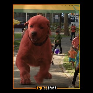 Clifford è fatto così: più amore gli dai, più diventa enorme. Ti aspettiamo con tutta la famiglia in sala: Clifford, il grande cane rosso è #SoloAlCinema! 🎟️🎟️🍿🍿👉🏼 https://bit.ly/3ltbuN0 | The Space Cinema