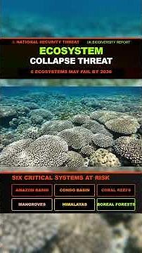 UK Government Quietly Releases Report Warning of Ecosystem Collapse by 2030