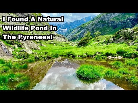 A Journey Through France - Part 4 - The Pyrénées Mountains