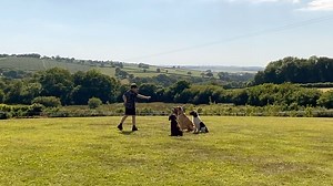 Dog behaviour and training​ - Ian Cooper Dog Behaviourist