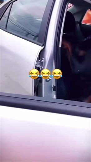 Funny Animal Voiceover Compilation