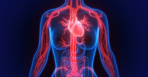 Sepsis | Causes, Prevention and Treatment | MedStar Health