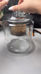 🌿✨ My first terrarium using only what I had at home! 🔗 COMMENT 'TERRARIUM' for links!When I saw this canister, I just knew I needed to turn it into a terrarium! So I went and got some plants from Home Depot (a pink and white Fittonia in the same pot, and a Fern) and decided to make it work without splurging on extra supplies.What I had at home: I used LECA for drainage, sphagnum moss as a barrier, and my DIY soil mix to keep things simple. 🌱After planting, I added just a little bit of water—i