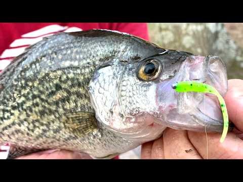 THE Jig & Bobber Setup That Crappie Simply Can't Refuse!