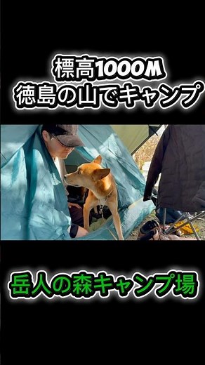 徳島・岳人の森キャンプ場/標高1000mの癒しキャンプ #わんこ連れキャンプ #キャンプ