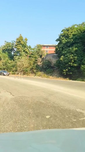 Natural Beauty | Natural Beauty