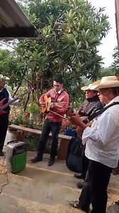 Martin Mart on Reels | Facebook