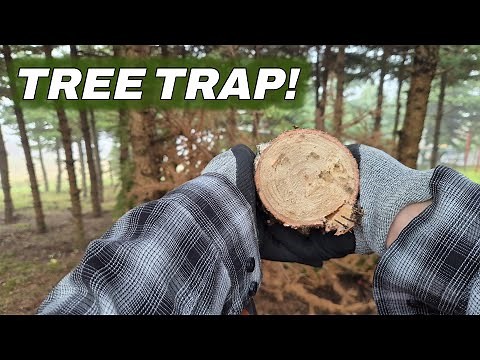 Basic Rope System for Pulling a Stuck Tree or Heavy Object