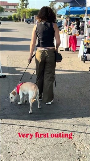 Very first outing vs most recent outing | check description