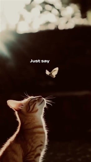 meri subha ho tum he aur tum he samm ho #song #edit #janam janam song