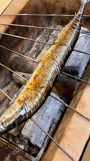 🇯🇵Grilled Samma🐟 | Chef Hiro