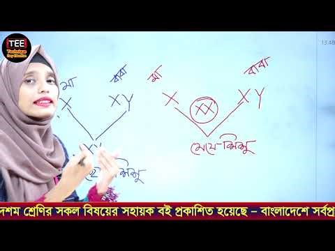 Home Science MCQ Chapter06 Type 04