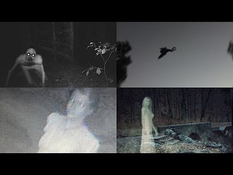 The Complete CRYPTIDS Iceberg Explained