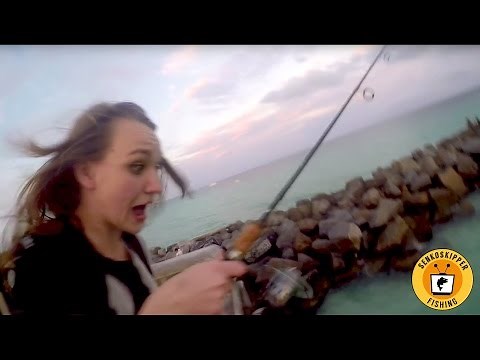 Florida Pier Fishing: Finding Fish in Miami!