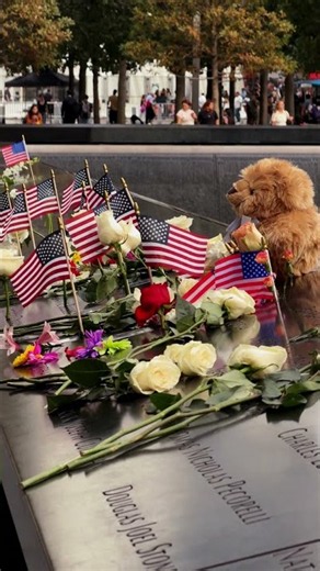 25 years ago today, New York City and the world changed forever.