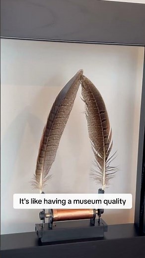 Wonder Machines Cusotomers: Real Slow Dance Reactions