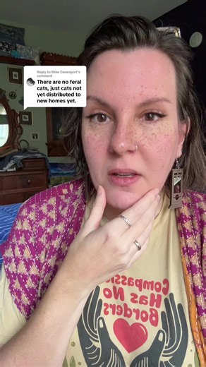 Replying to @Mike Davenport #cats #feral #conservation | cats